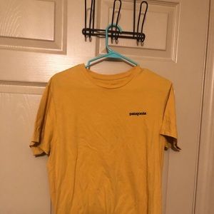 Patagonia tee